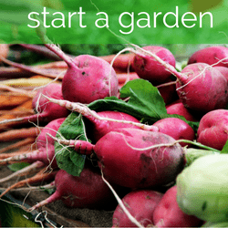 Grow Your Own Food to Save Money