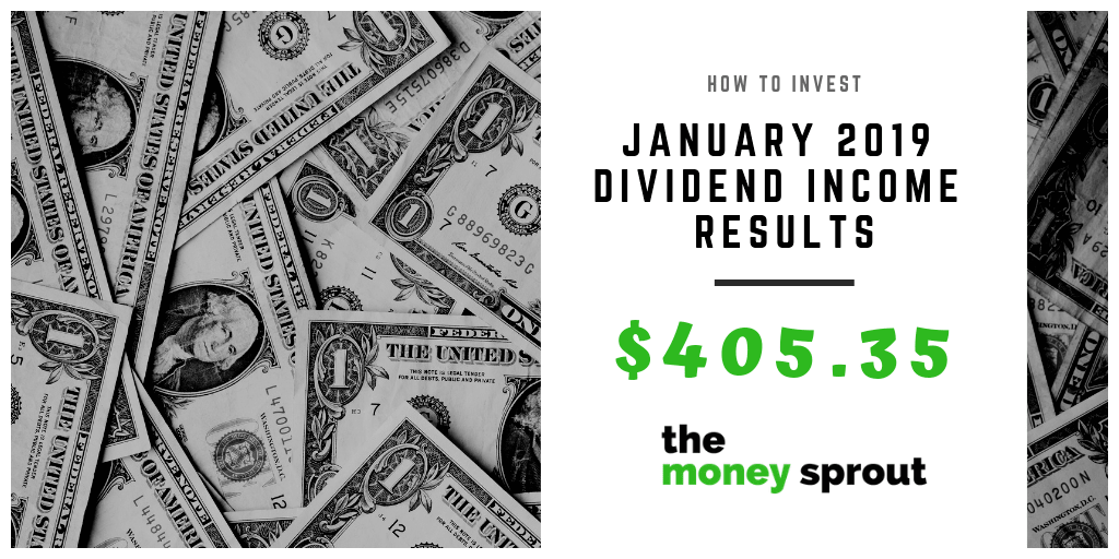 How Much Dividend Income Did We Earn in January 2019?